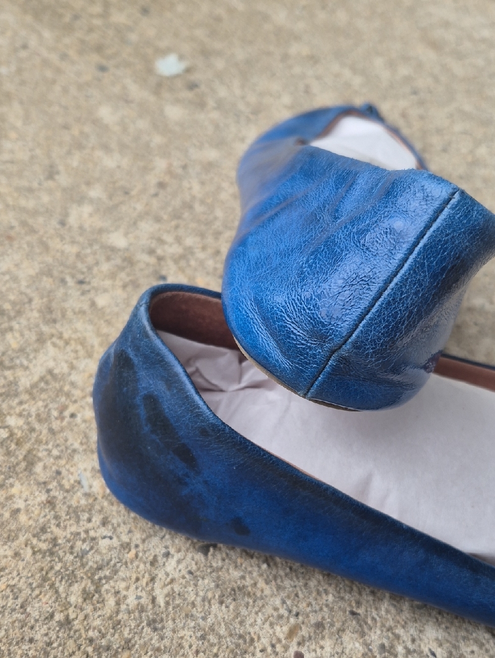 Anthro by Pilcro/Letterpress Antique Blue Flats - Picture 3 of 5